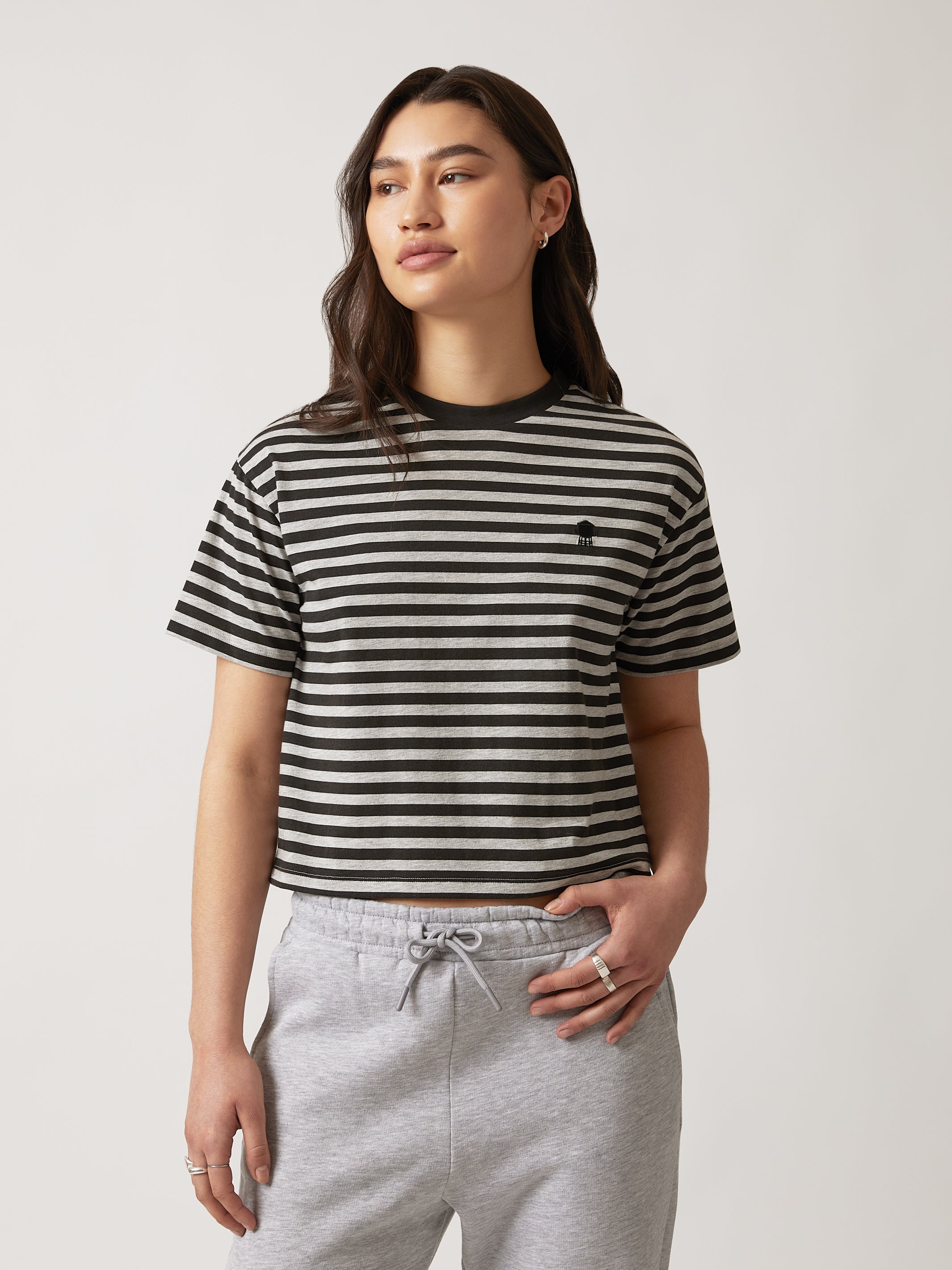 Women's Water Tower Stripe T-shirt in Grey Melange - BROOKLYN INDUSTRIES