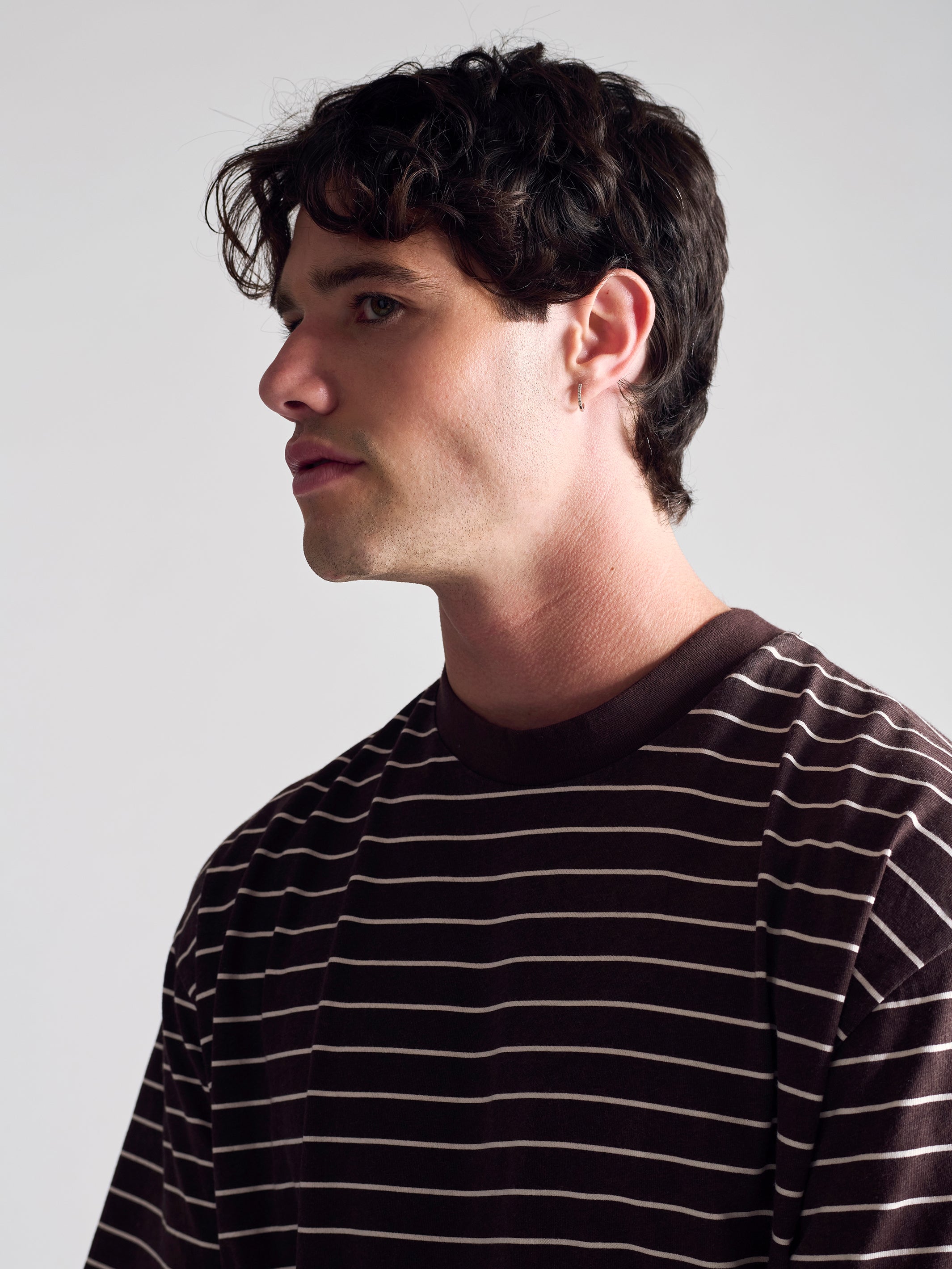 Men's Crew Neck Stripe T-Shirt In Coffee Bean - BROOKLYN INDUSTRIES