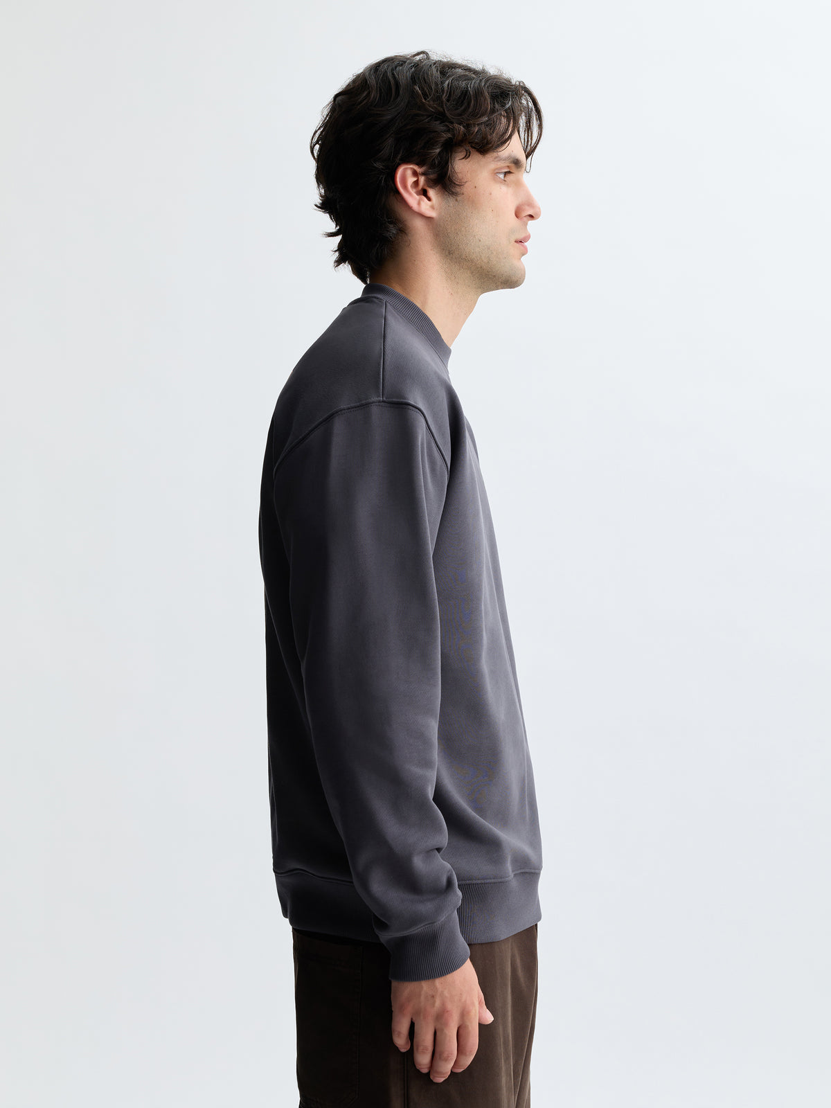 Men's Sunset Water Tower Crew Neck Sweatshirt in Asphalt - BROOKLYN INDUSTRIES