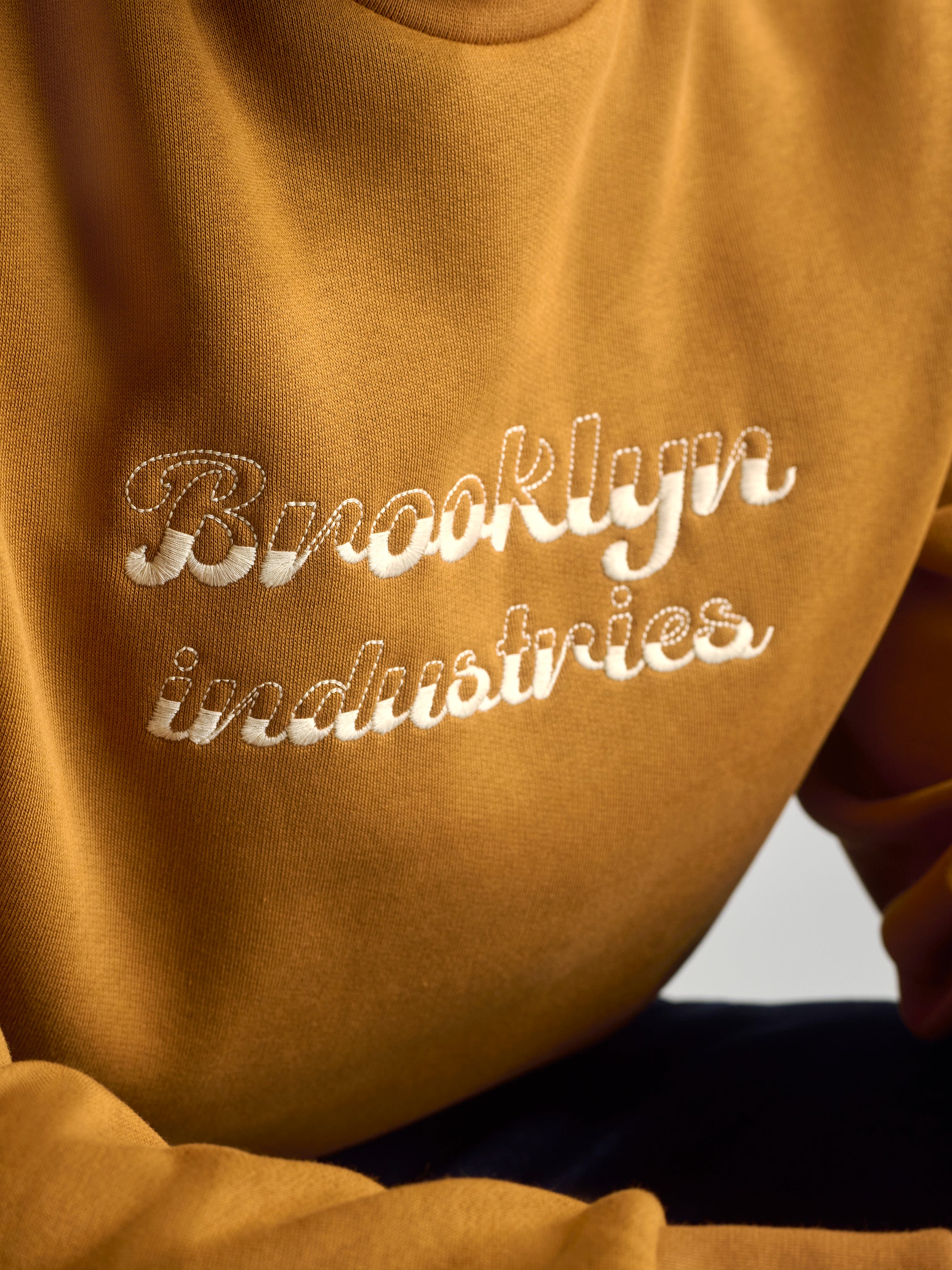 Men's Embroidered Crew Neck Sweatshirt In Spice - BROOKLYN INDUSTRIES