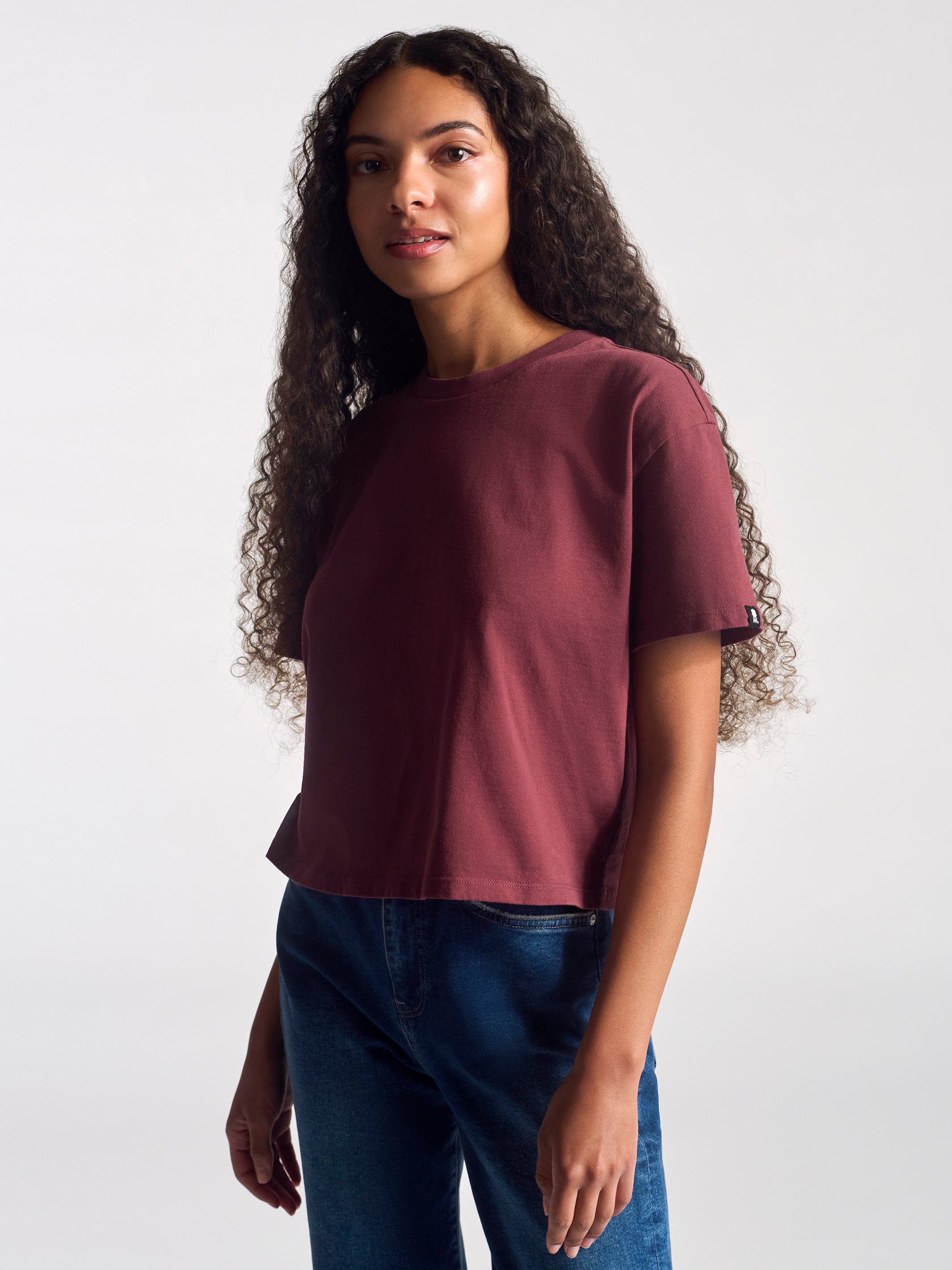 Women's Nassau Crew Neck Crop T-Shirt In Brick - BROOKLYN INDUSTRIES