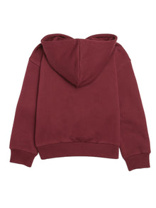 Boy's Water Tower Hoodie in Tawny Port - BROOKLYN INDUSTRIES