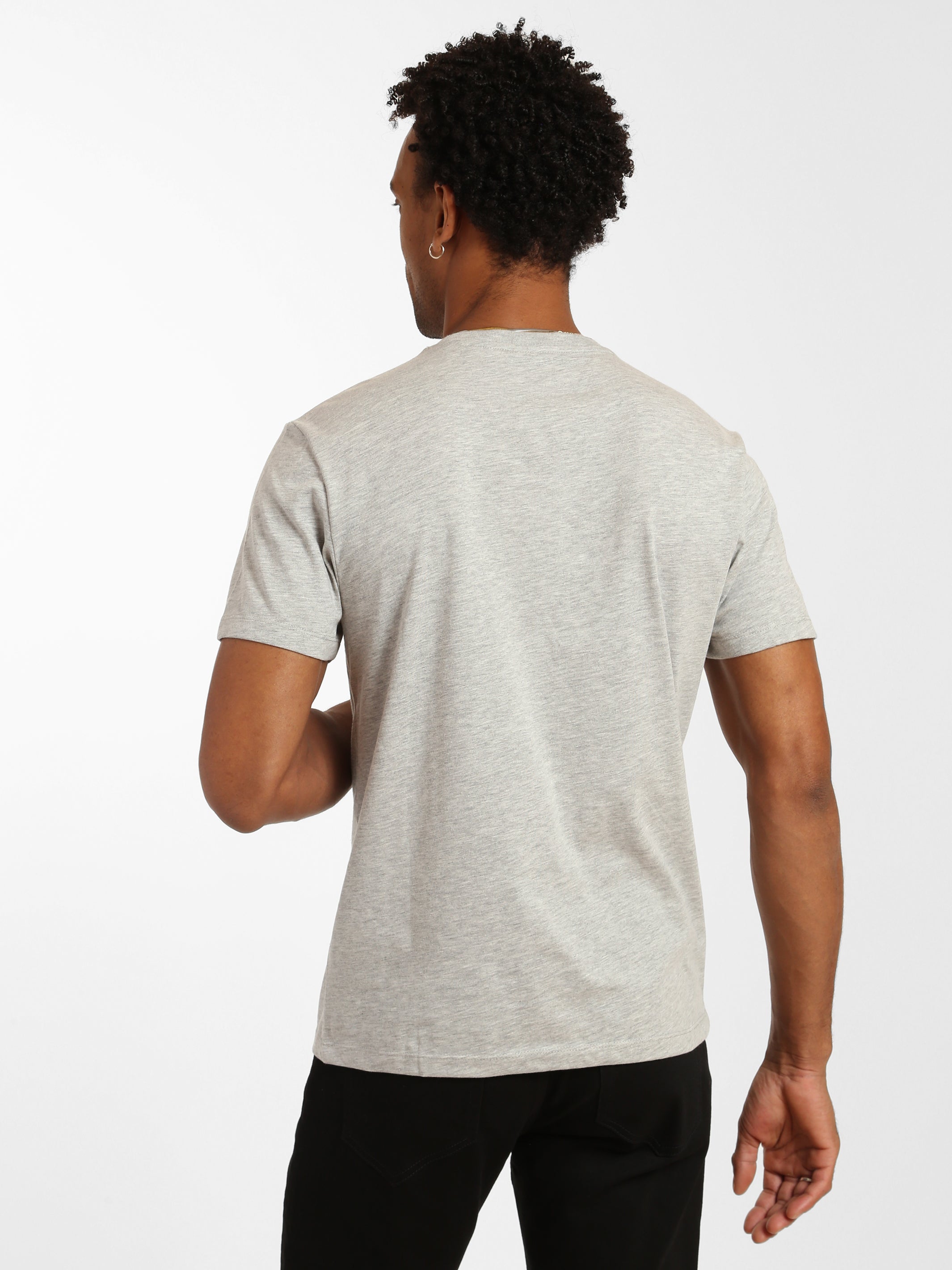 Men's Brooklyn Birds T-shirt - BROOKLYN INDUSTRIES