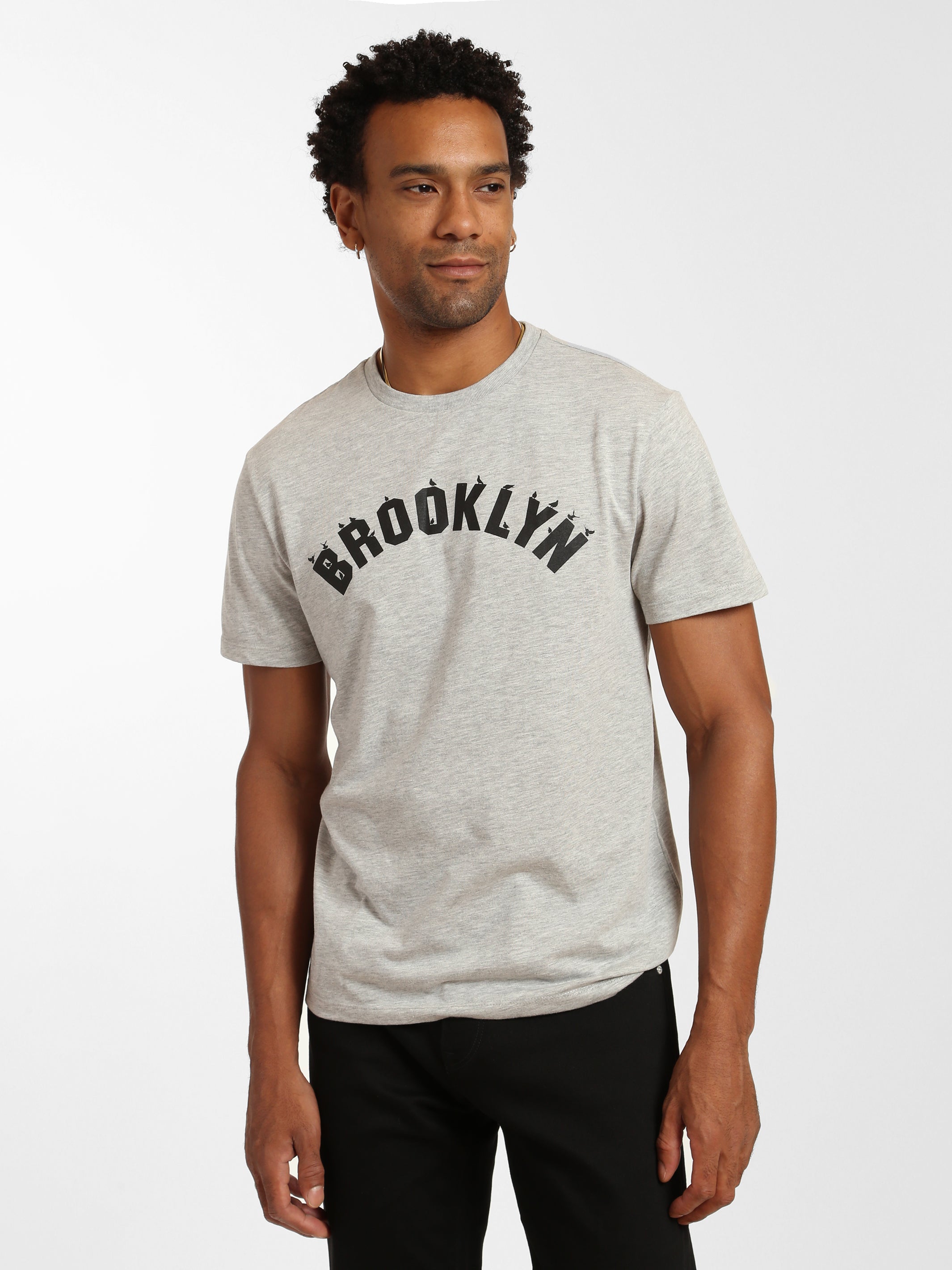 Men's Brooklyn Birds T-shirt - BROOKLYN INDUSTRIES
