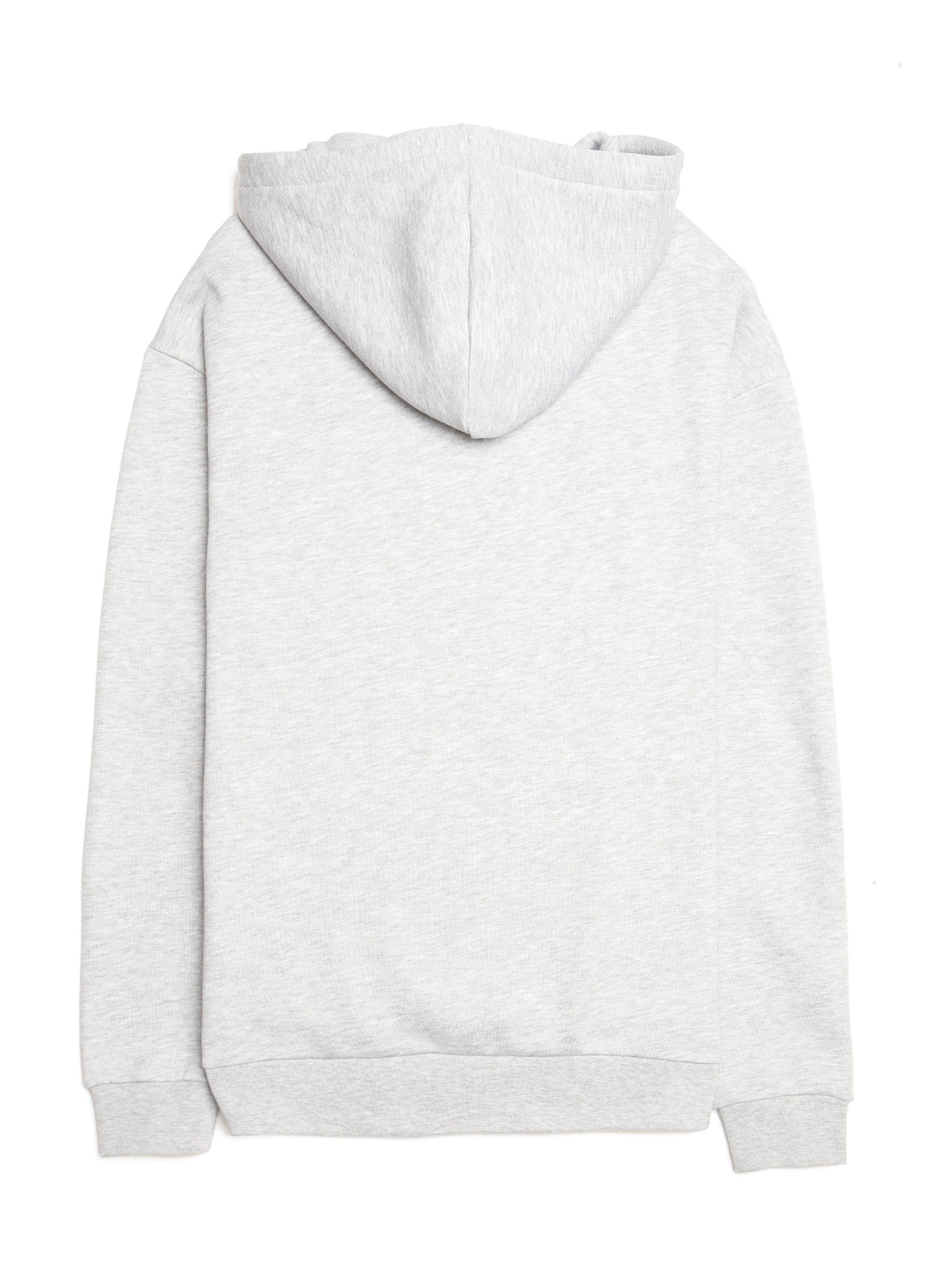 Men's Brooklyn Birds Hoodie - BROOKLYN INDUSTRIES