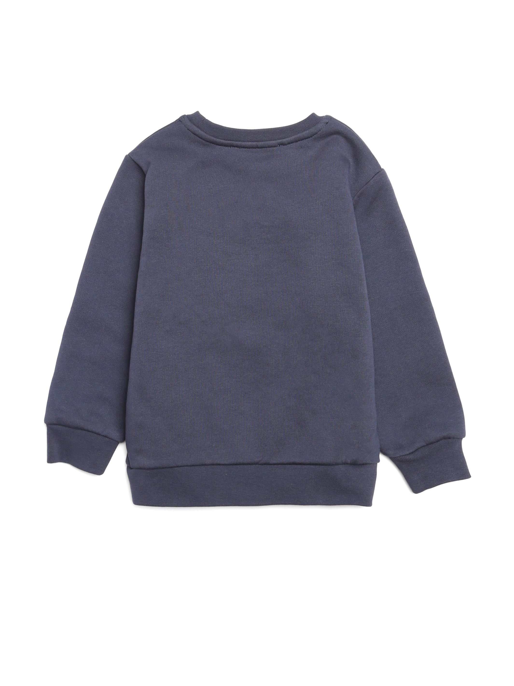 Boys best sale navy sweatshirt