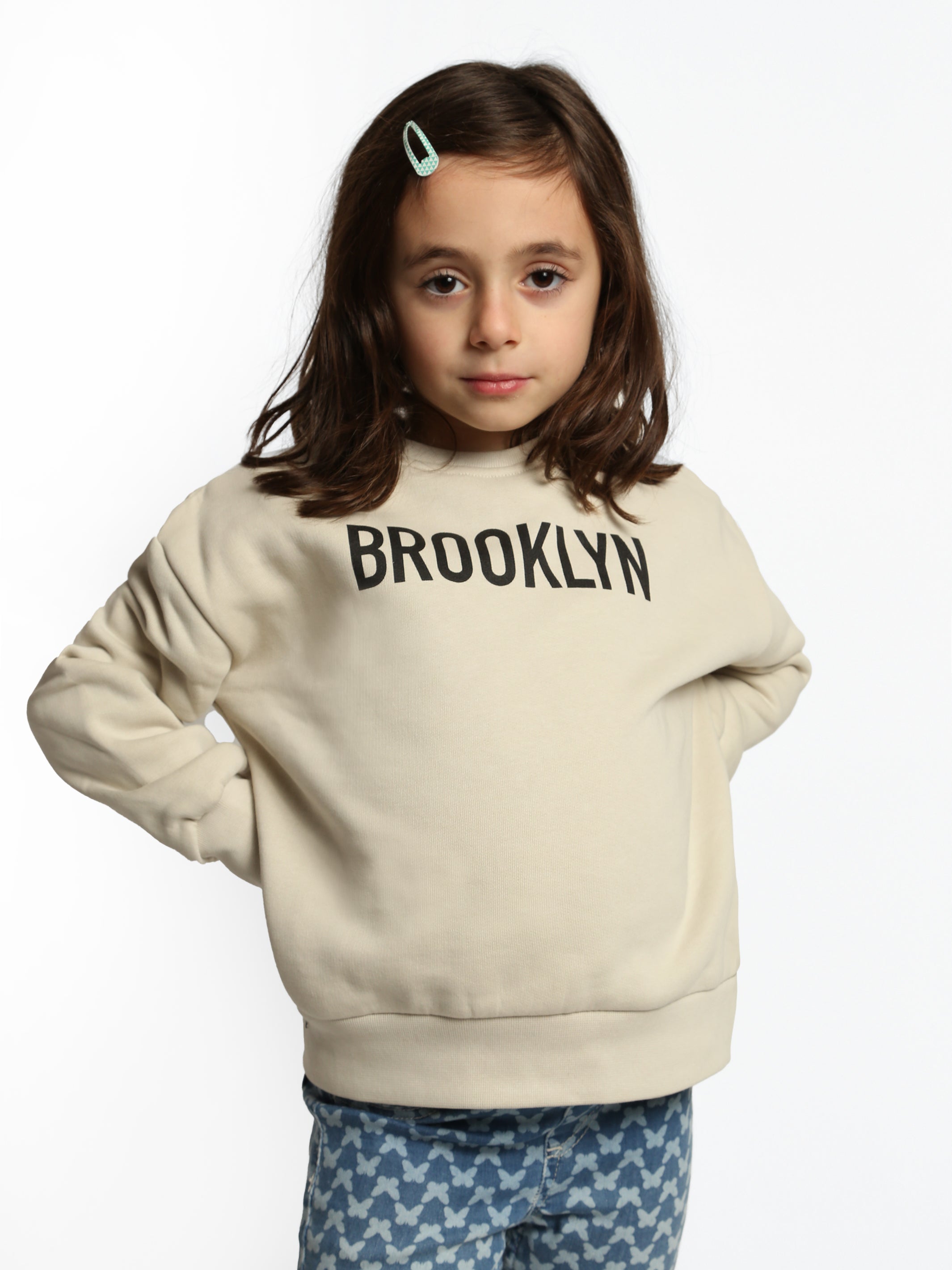 J crew shop brooklyn sweater